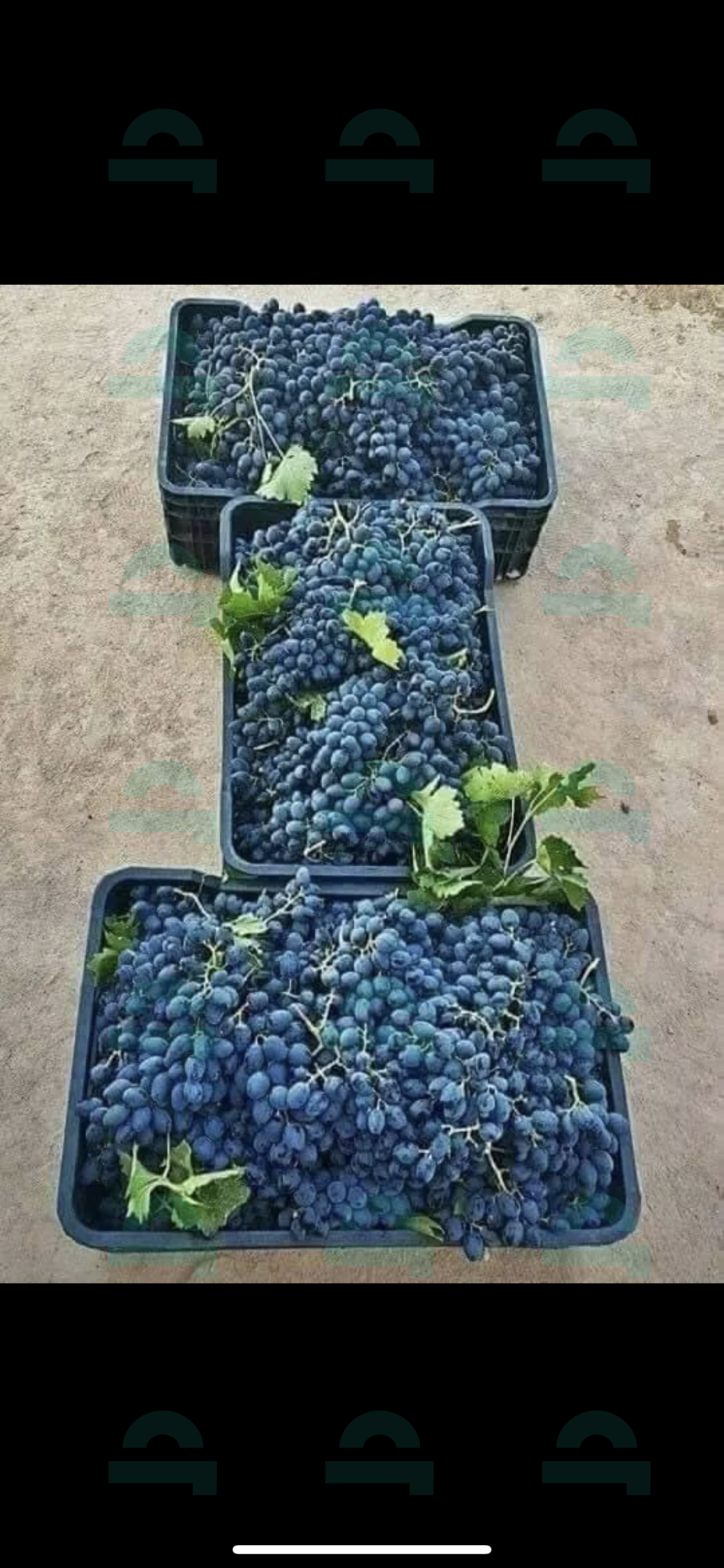 صورة العقار