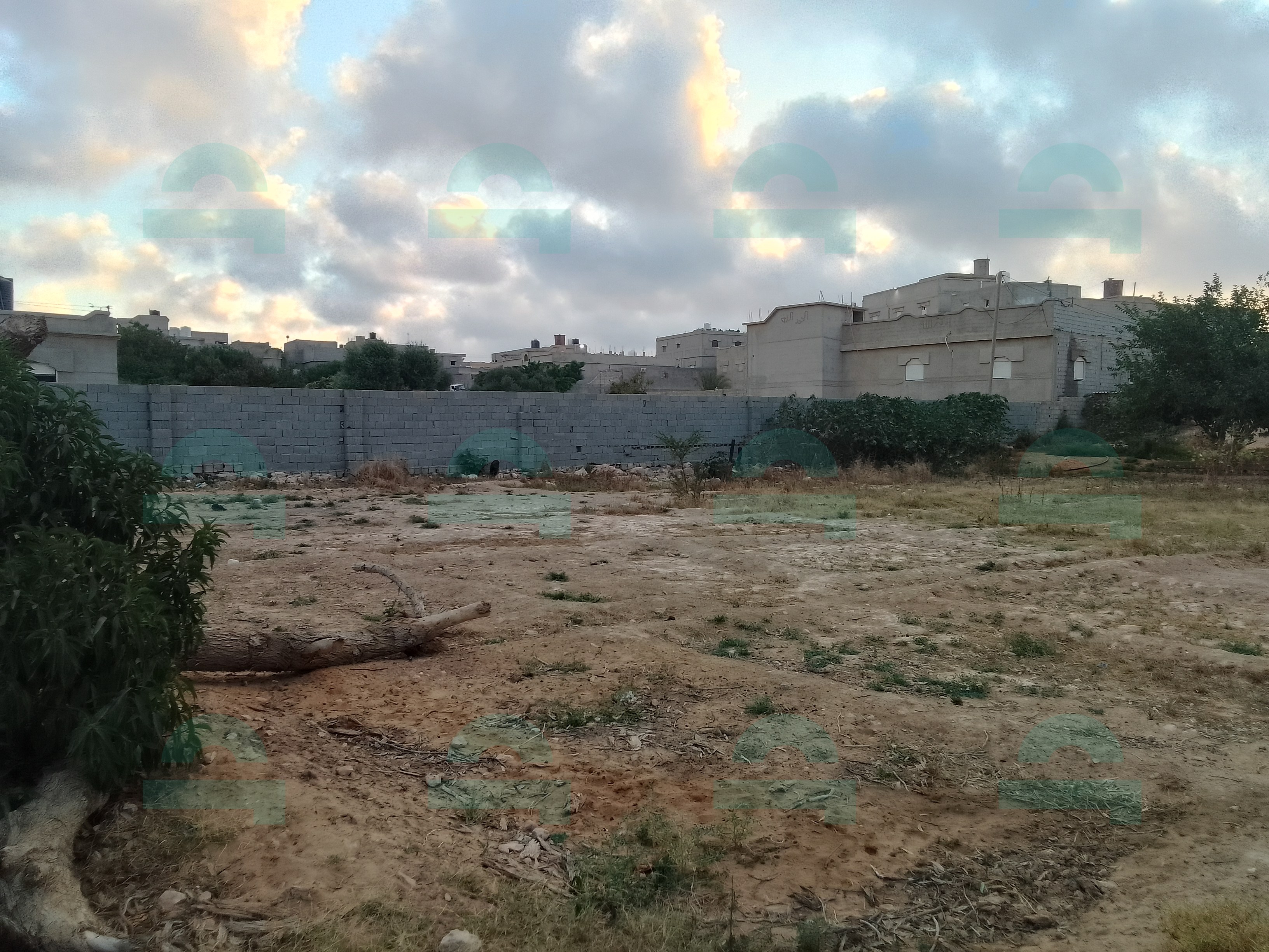 قطعة ارض زراعية