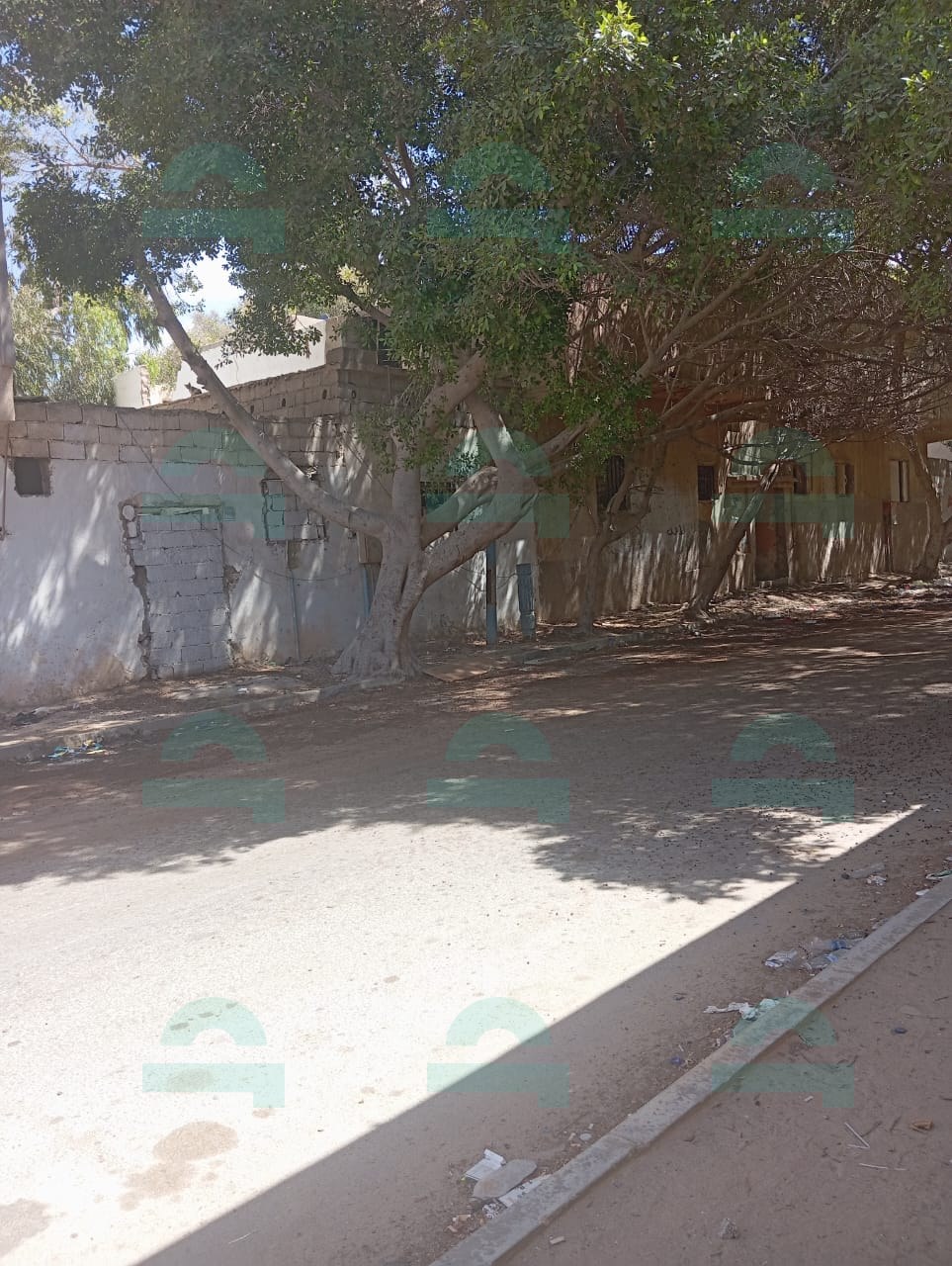 صورة العقار