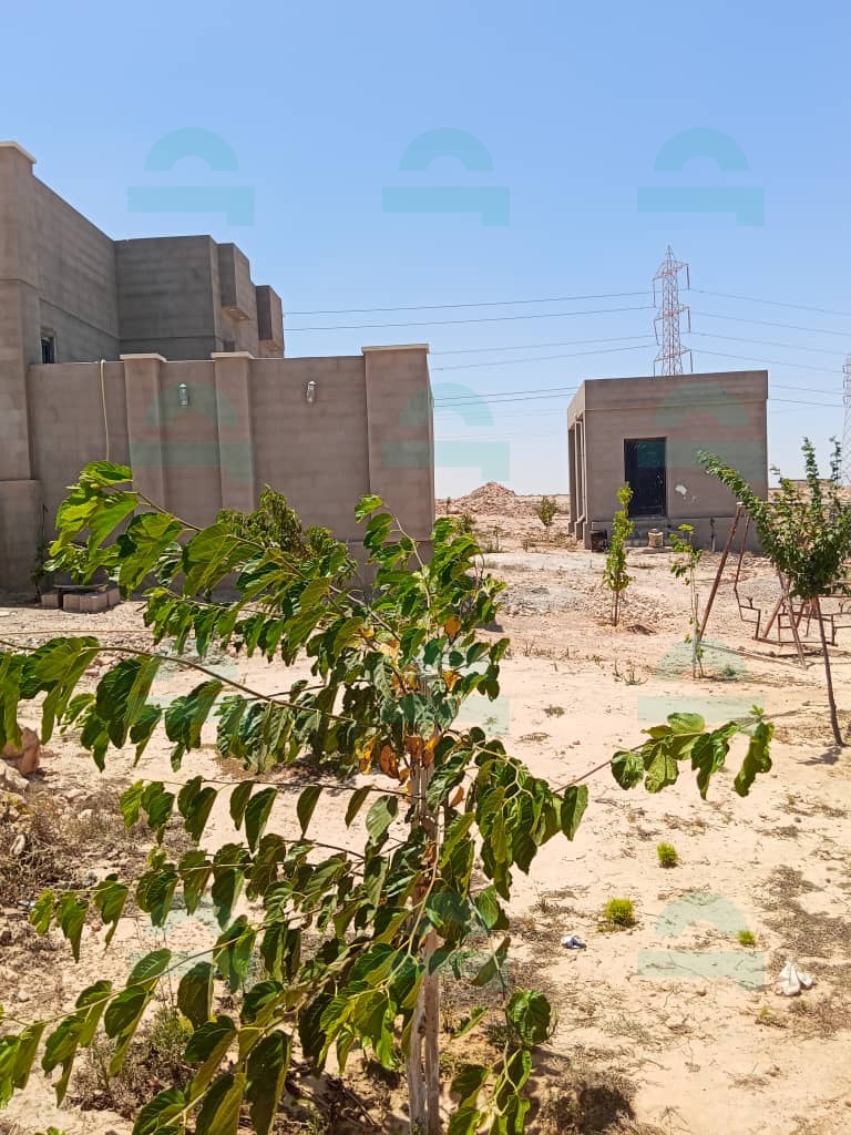 صورة العقار