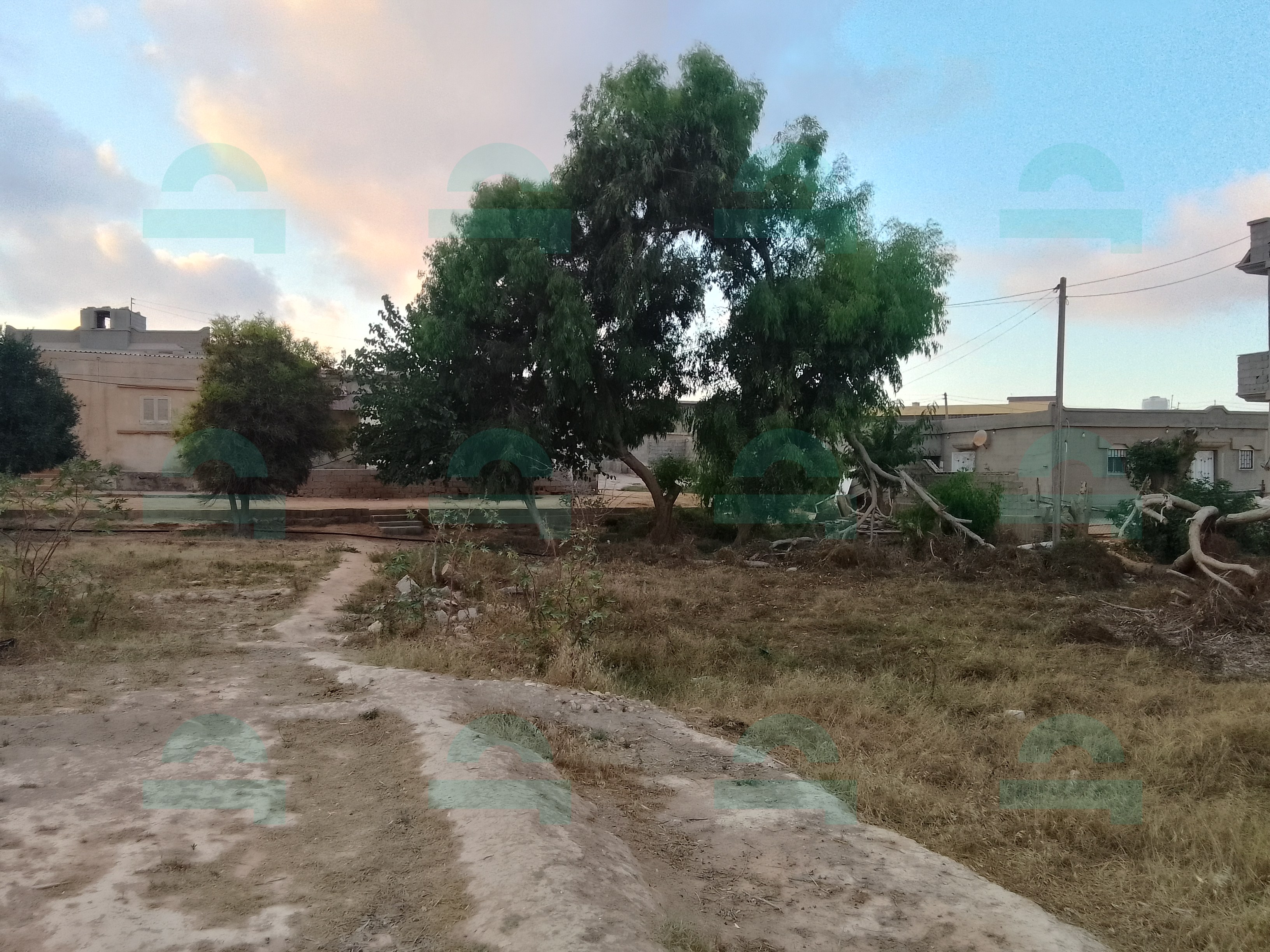 صورة العقار