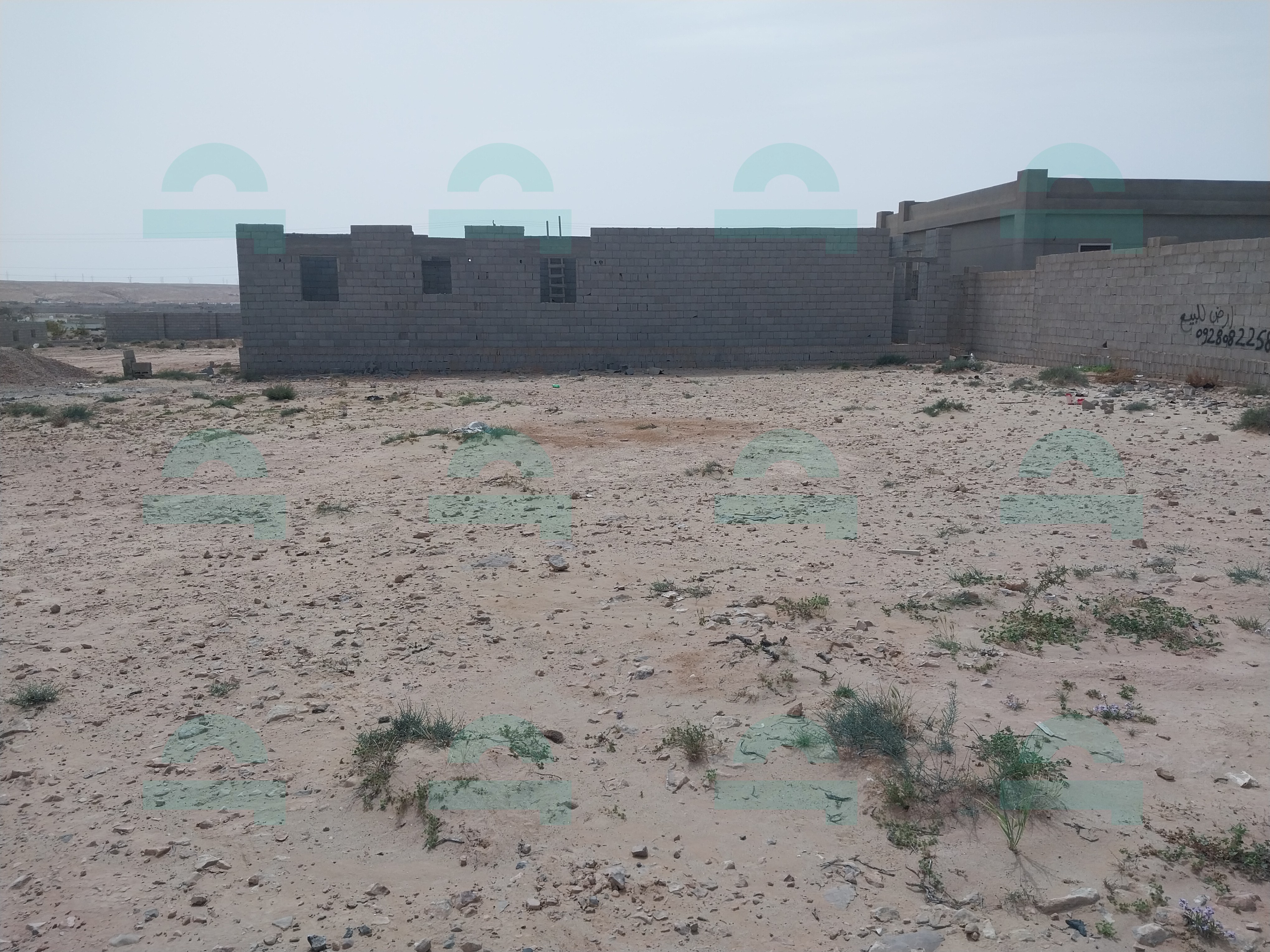 صورة العقار