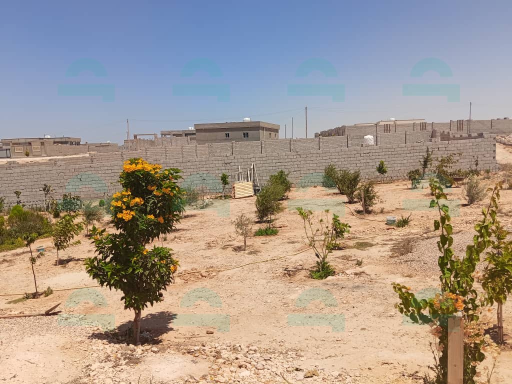 صورة العقار