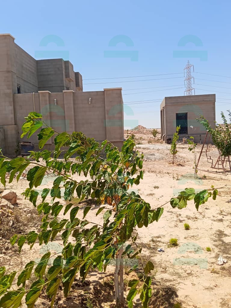 صورة العقار