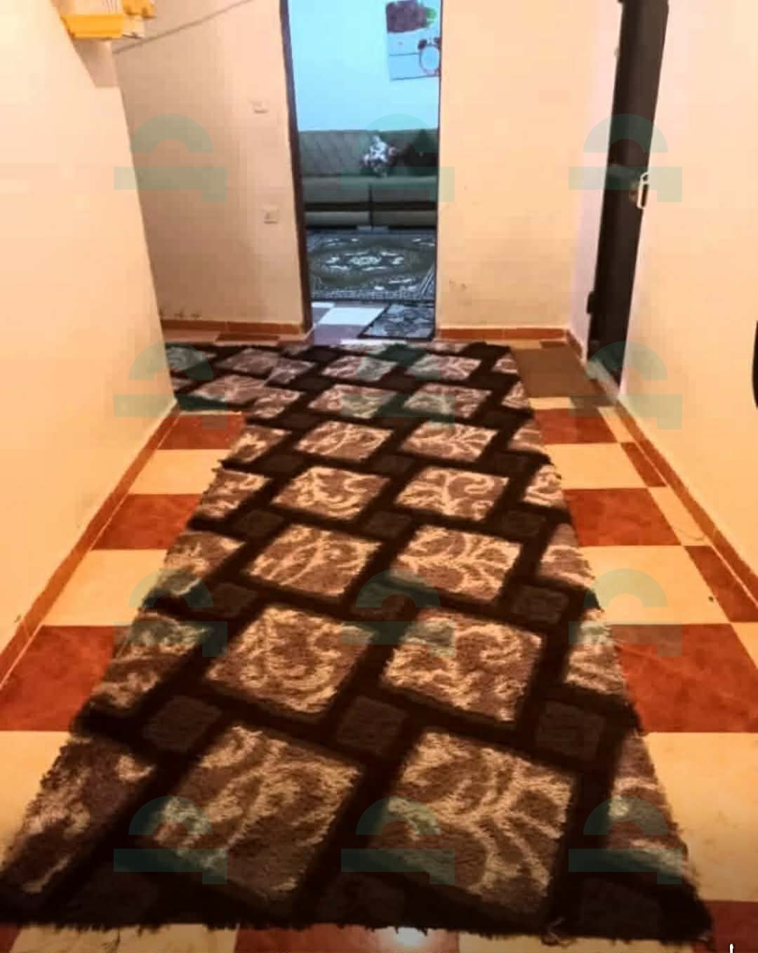 صورة العقار