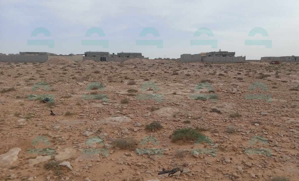 صورة العقار